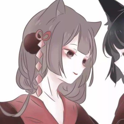 齐豫开净化了